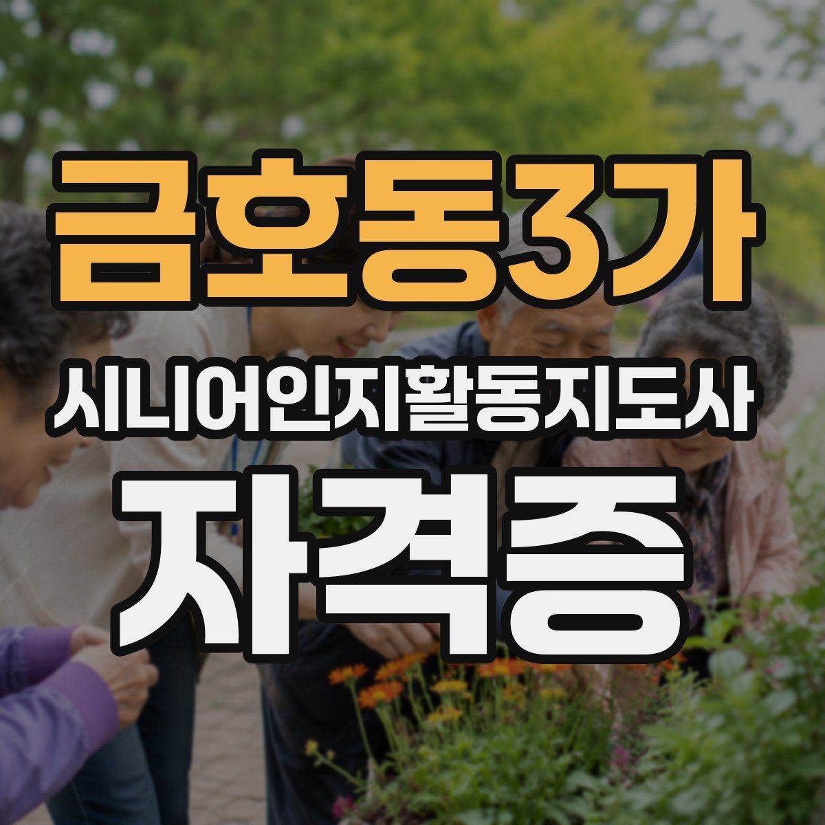 금호동3가 시니어인지활동지도사 자격증