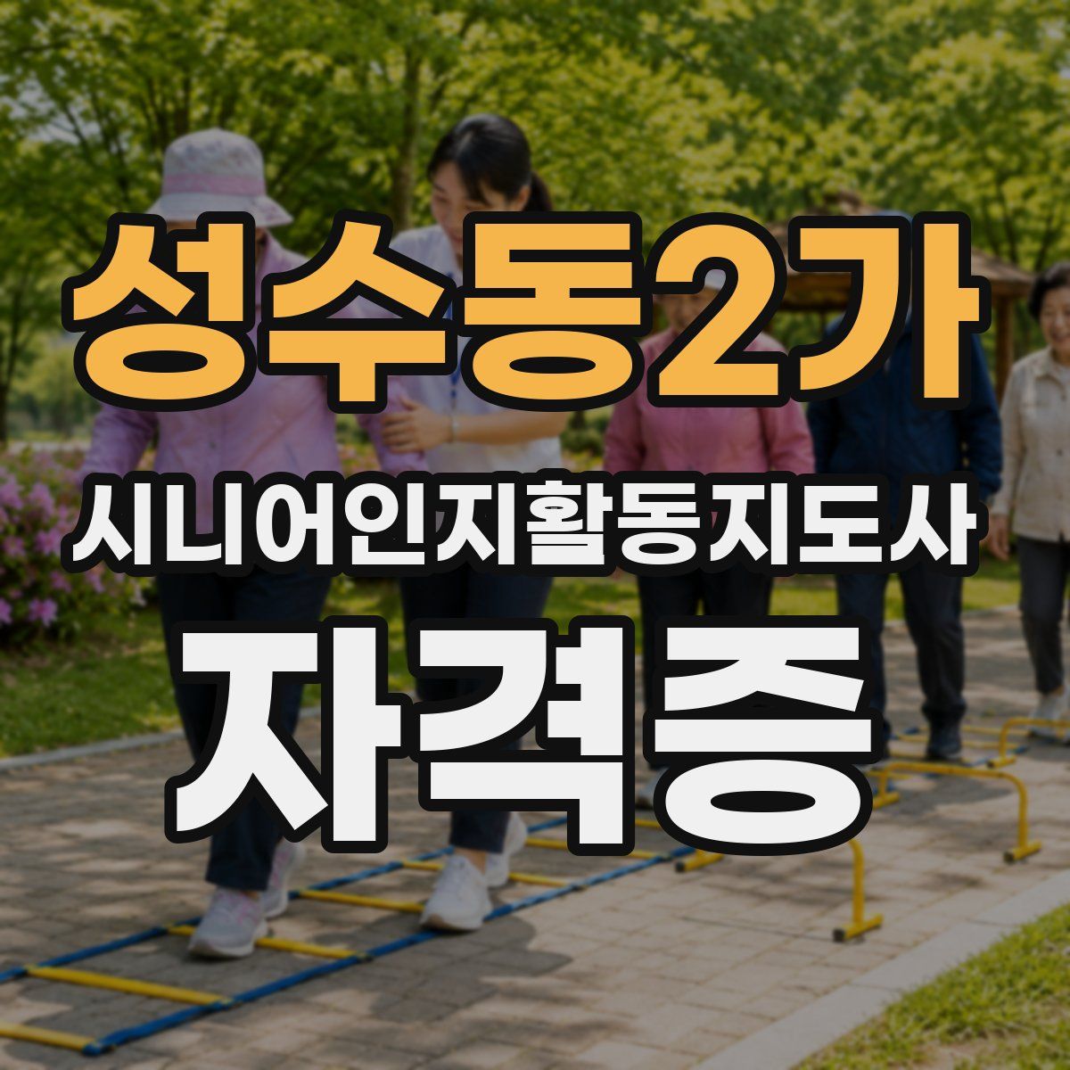 성수동2가 시니어인지활동지도사 자격증
