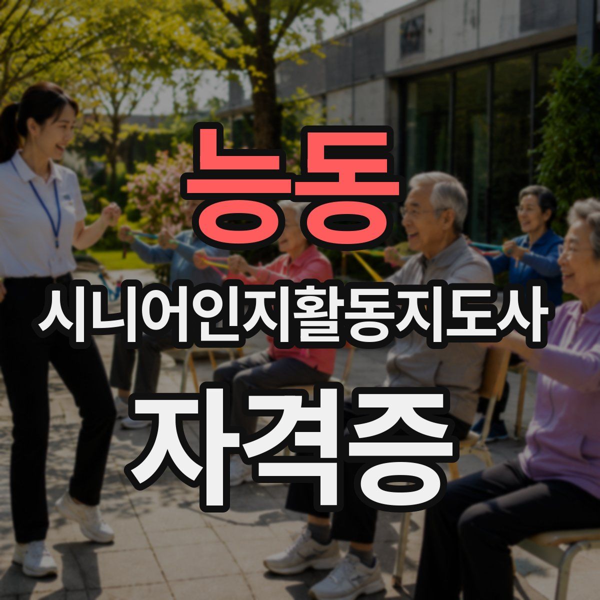 능동 시니어인지활동지도사 자격증