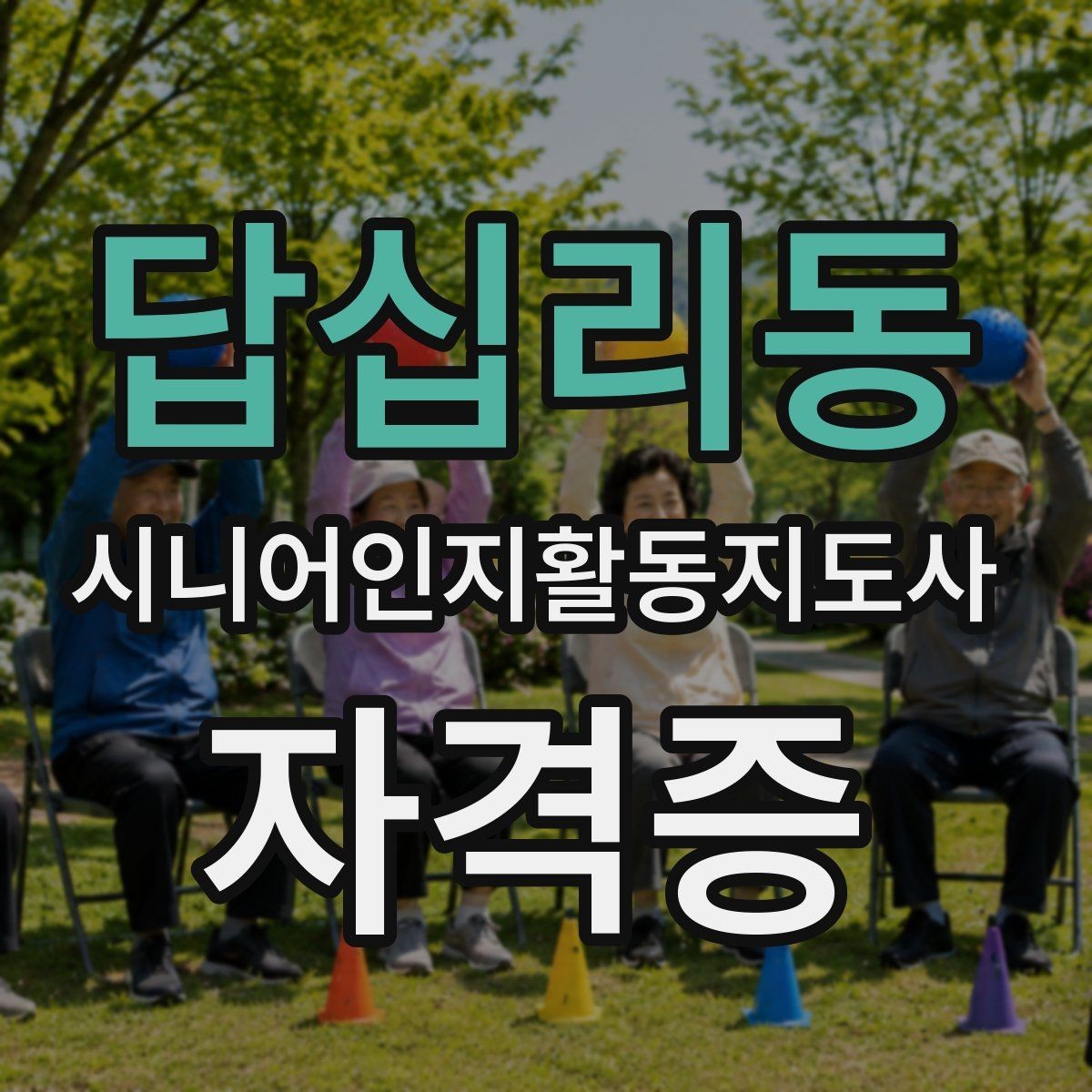 답십리동 시니어인지활동지도사 자격증 합격을 위해 자주 점검할 항목
