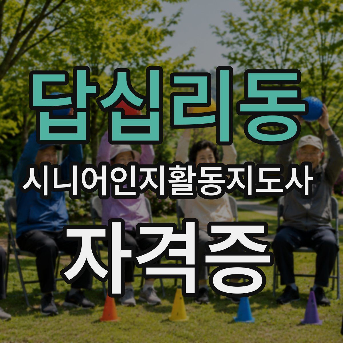 답십리동 시니어인지활동지도사 자격증