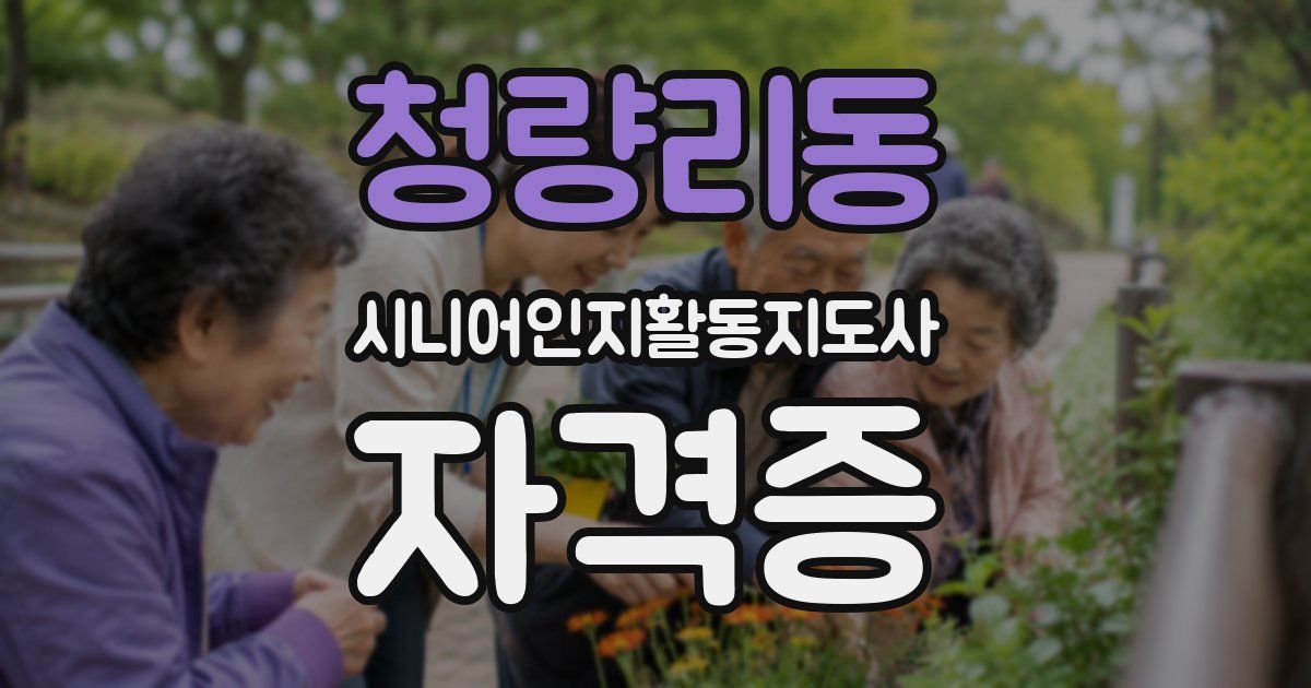 청량리동 시니어인지활동지도사 자격증