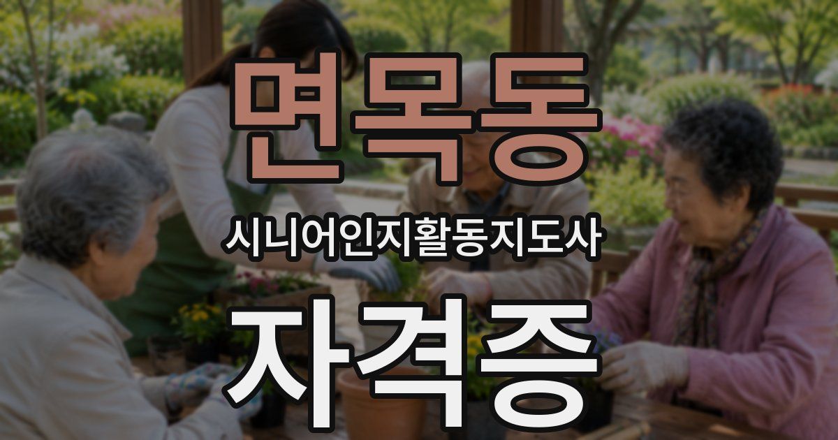 면목동 시니어인지활동지도사 자격증