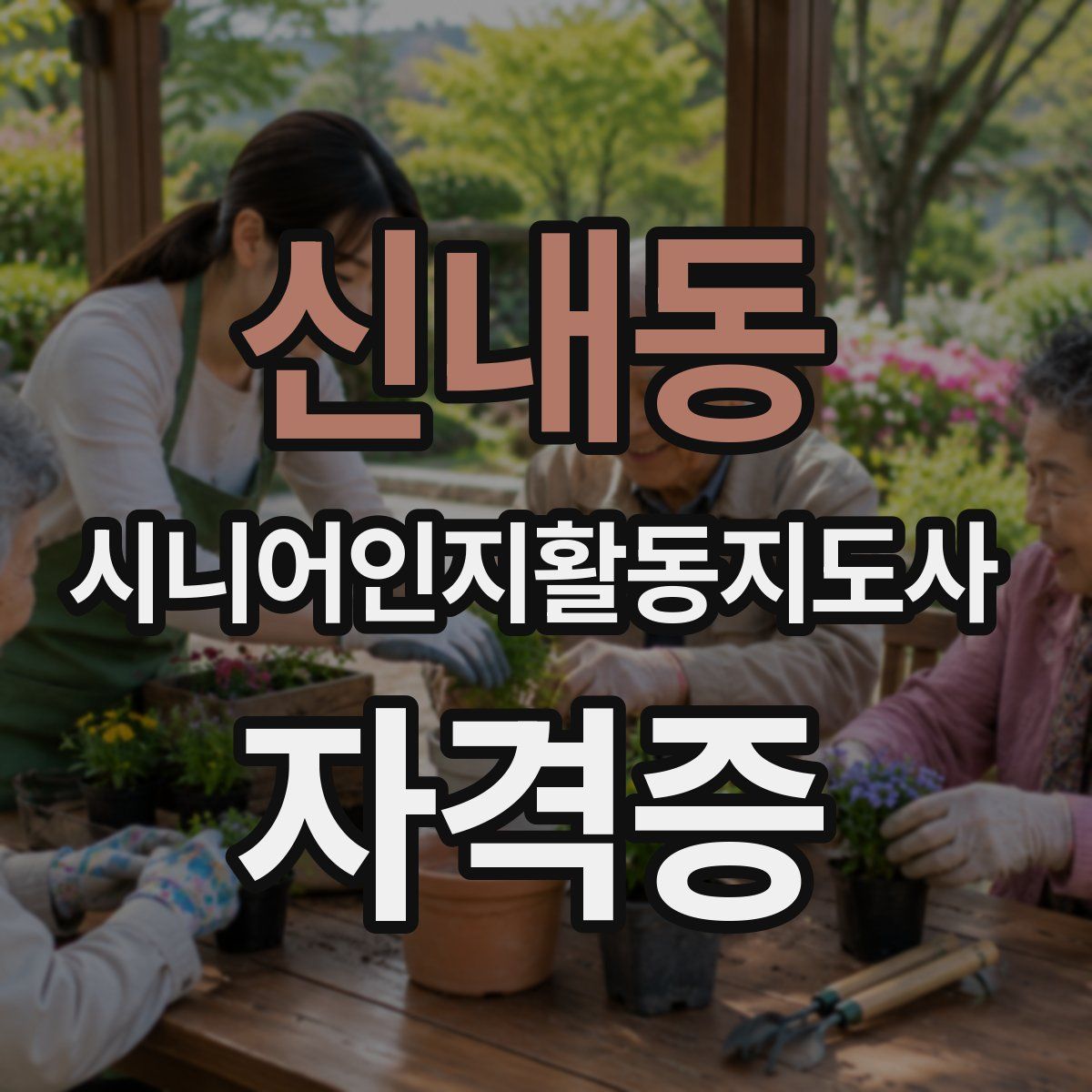 신내동 시니어인지활동지도사 자격증
