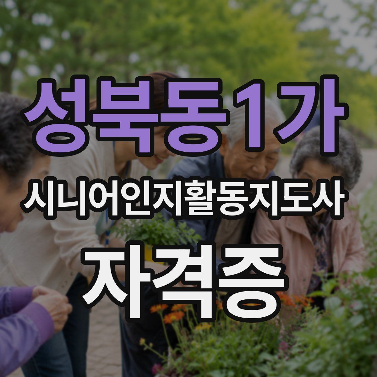 성북동1가 시니어인지활동지도사 자격증