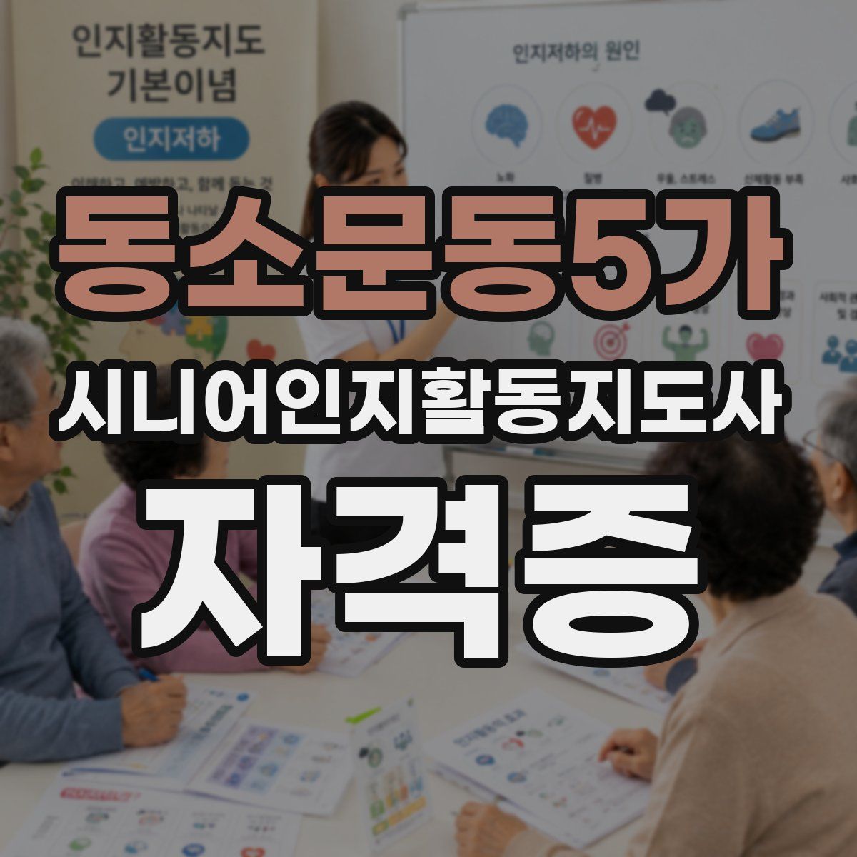 동소문동5가 시니어인지활동지도사 자격증