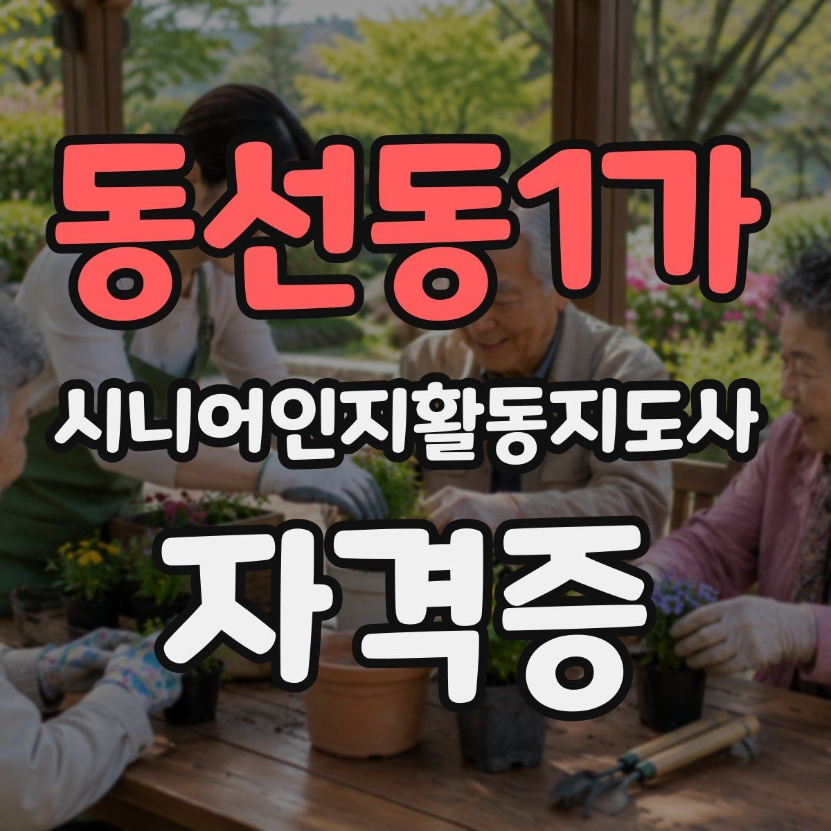 동선동1가 시니어인지활동지도사 자격증 수강료와 환불 규정 확인 포인트