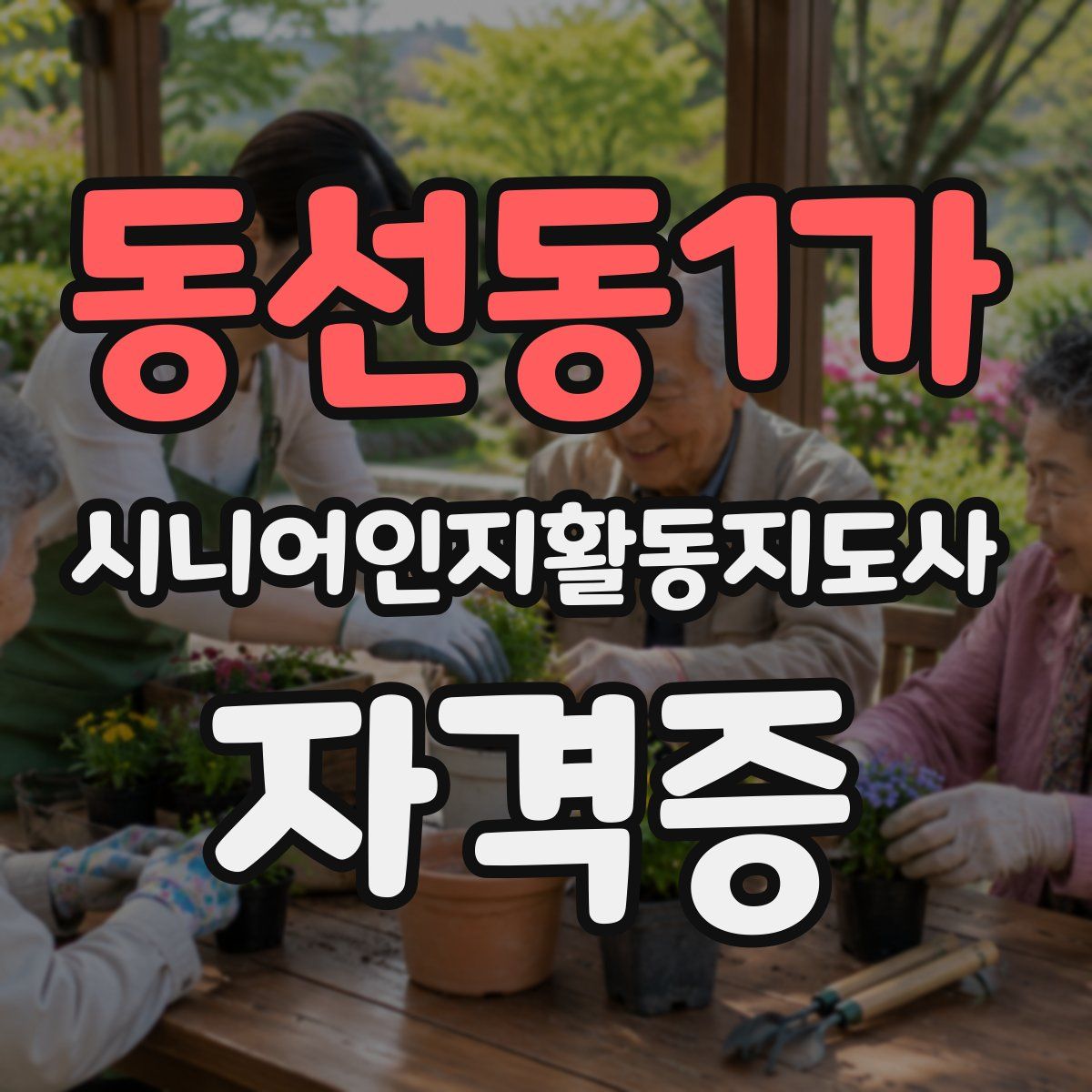 동선동1가 시니어인지활동지도사 자격증