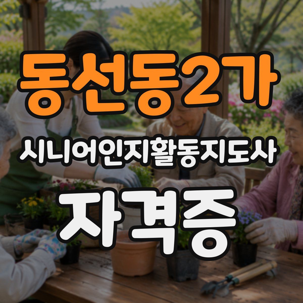 동선동2가 시니어인지활동지도사 자격증