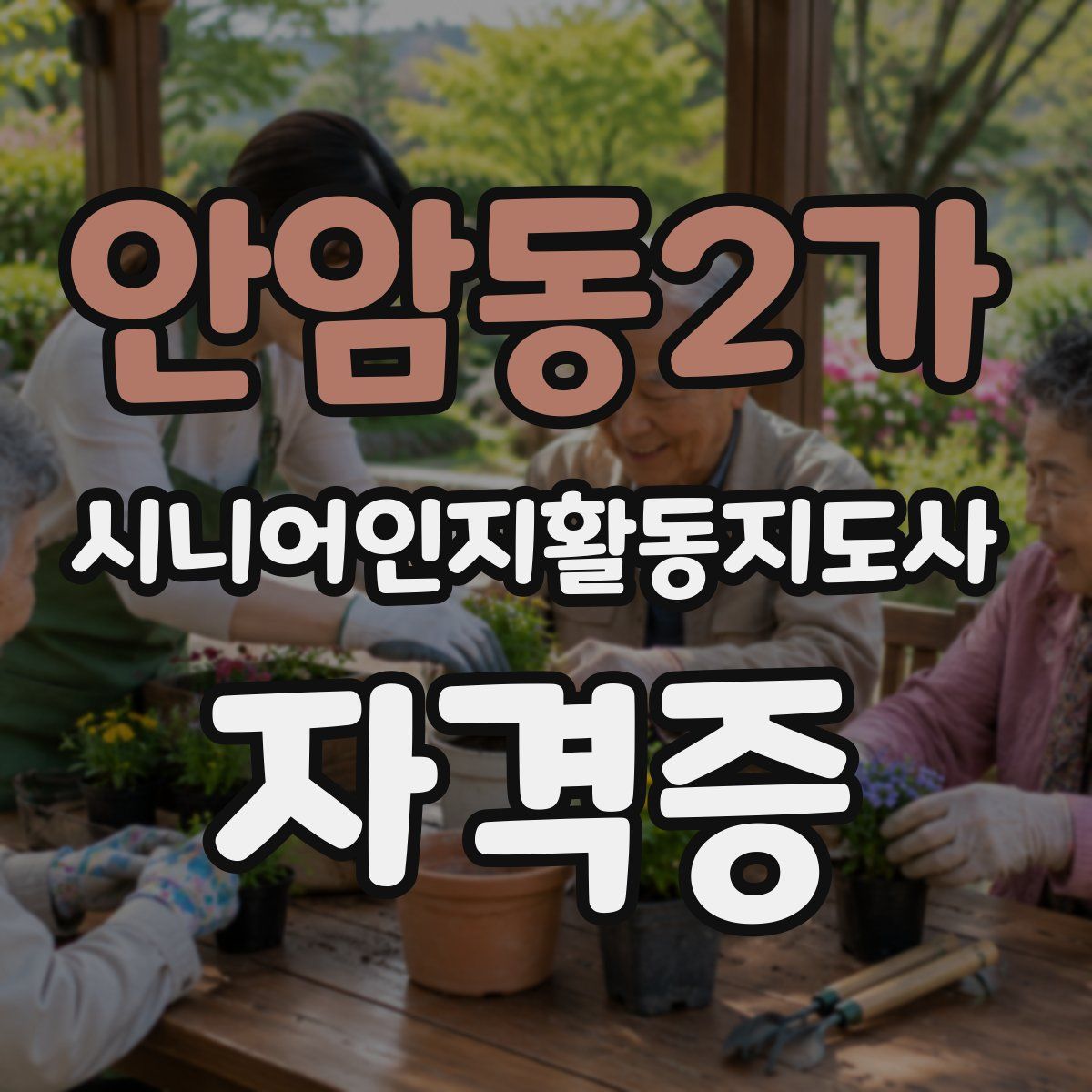 안암동2가 시니어인지활동지도사 자격증