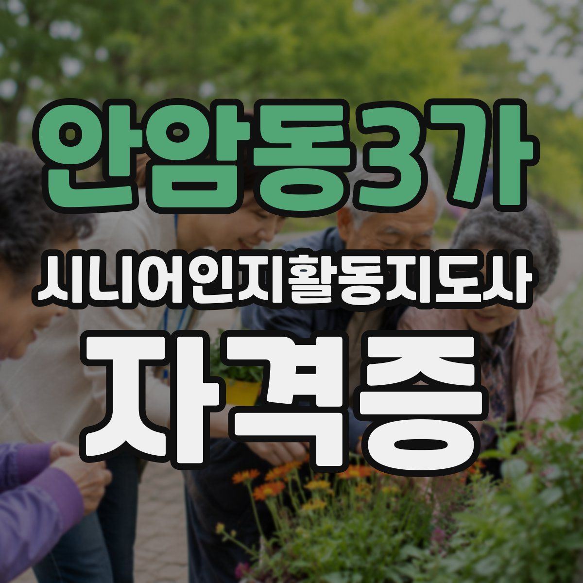 안암동3가 시니어인지활동지도사 자격증