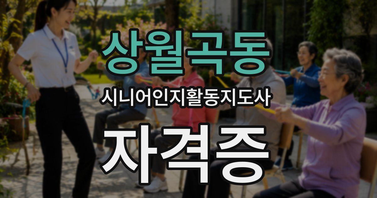 상월곡동 시니어인지활동지도사 자격증