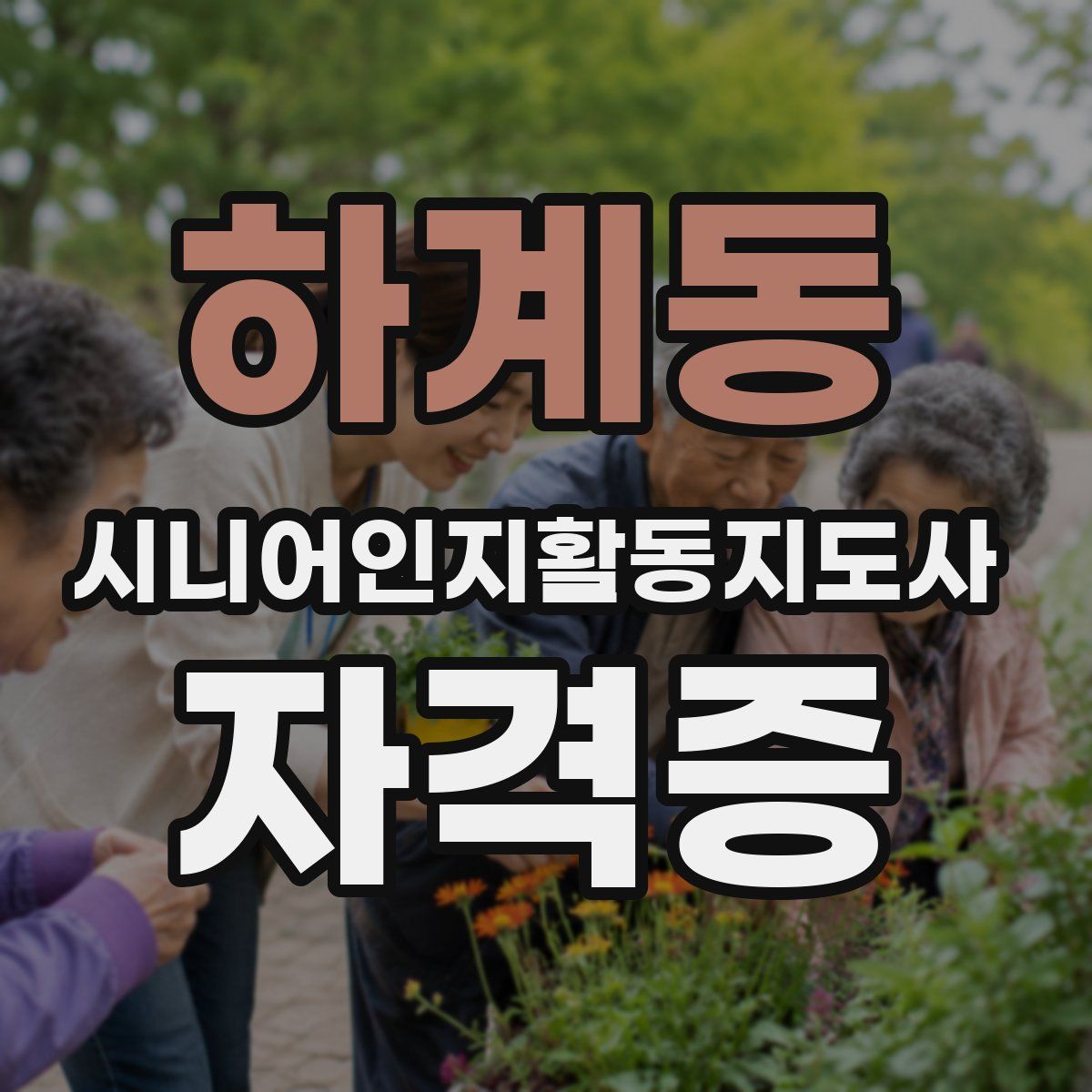 하계동 시니어인지활동지도사 자격증