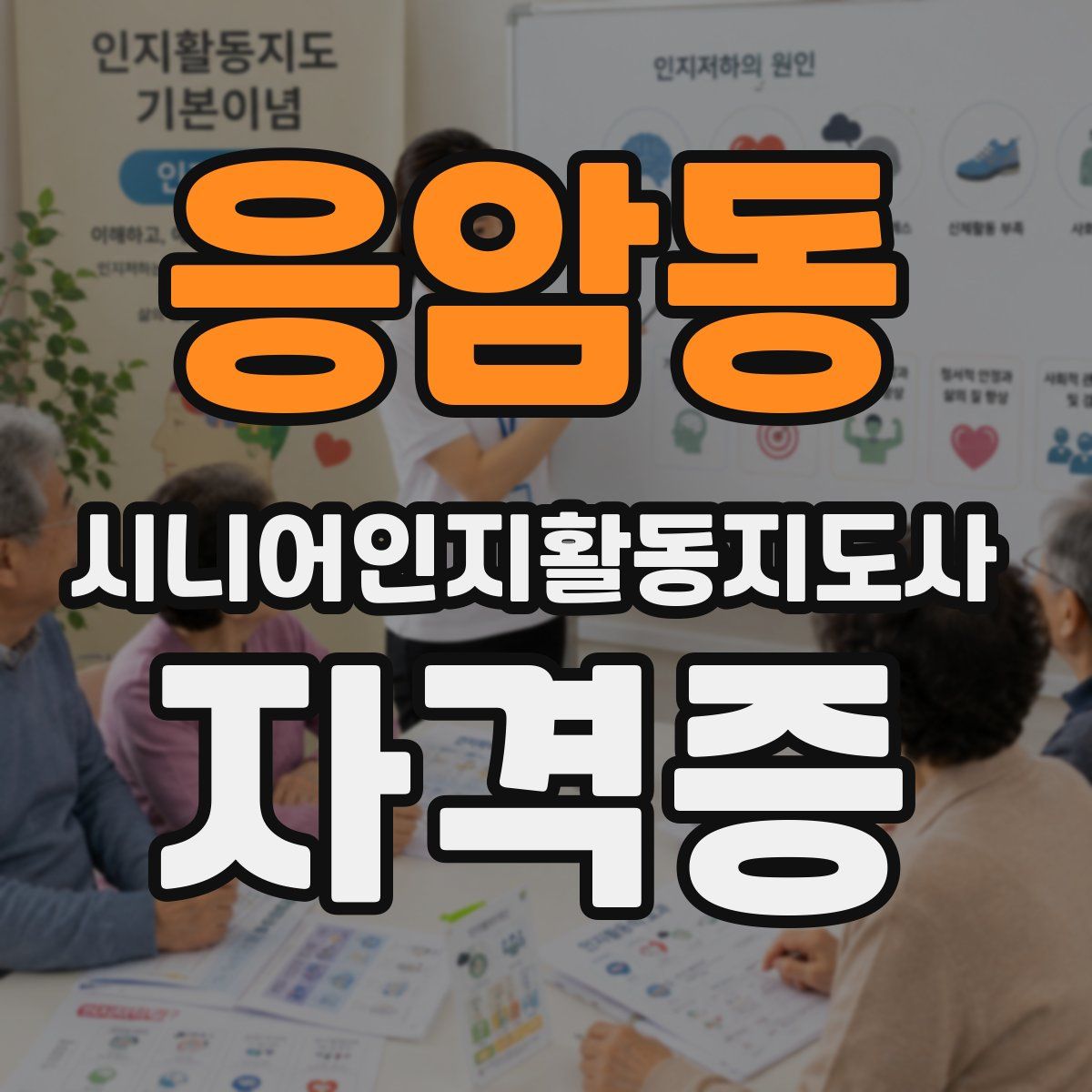 응암동 시니어인지활동지도사 자격증
