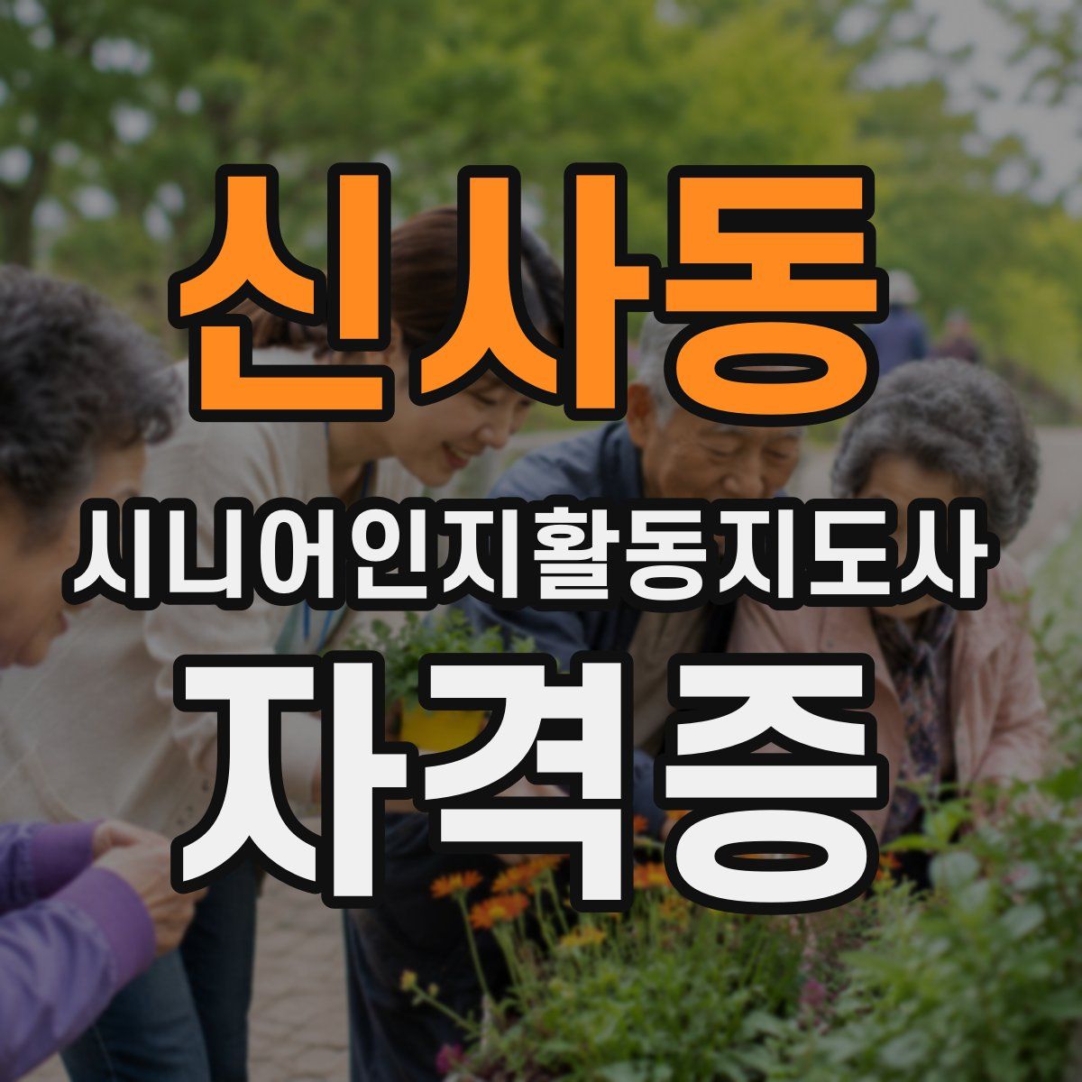 신사동 시니어인지활동지도사 자격증