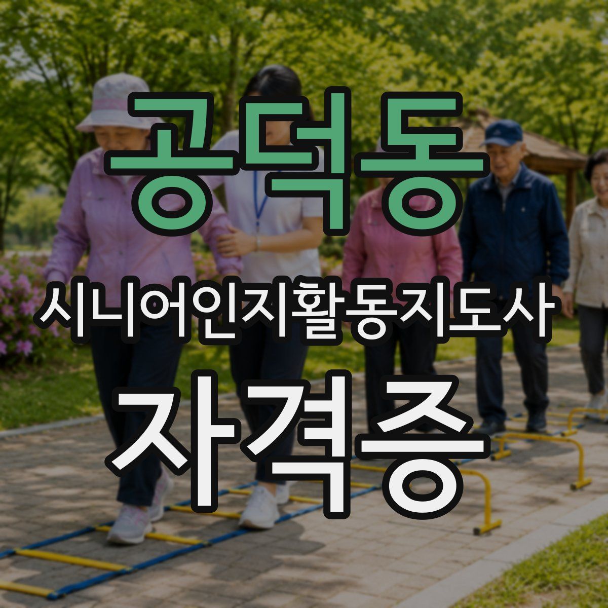 공덕동 시니어인지활동지도사 자격증