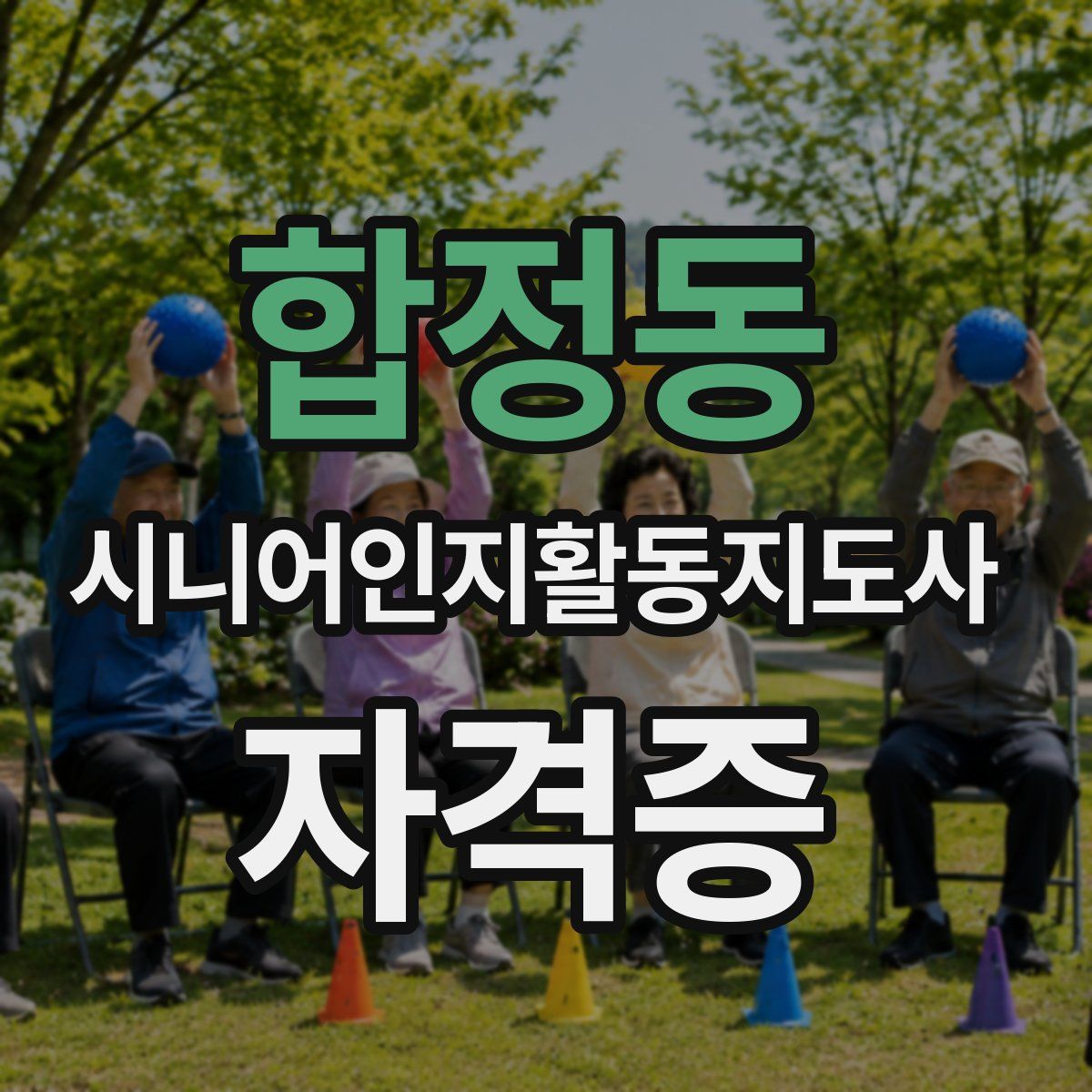 합정동 시니어인지활동지도사 자격증