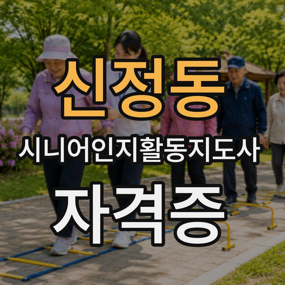 신정동 시니어인지활동지도사 자격증