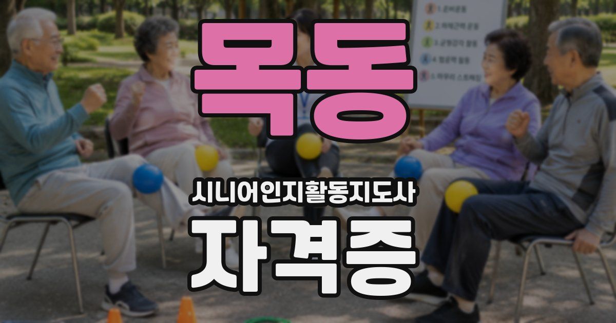 목동 시니어인지활동지도사 자격증