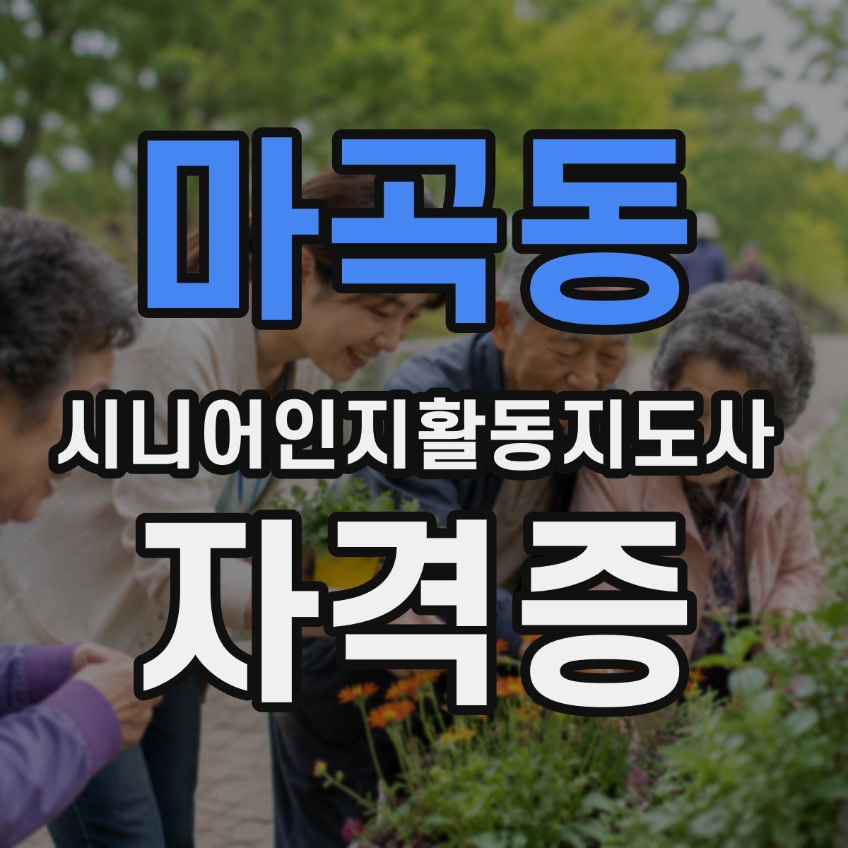 마곡동 시니어인지활동지도사 자격증