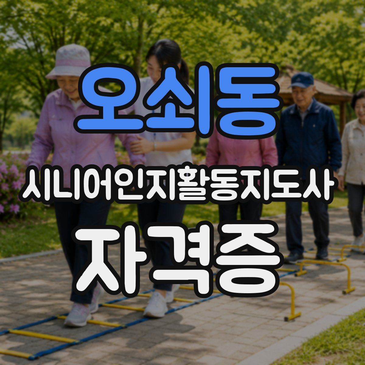 오쇠동 시니어인지활동지도사 자격증