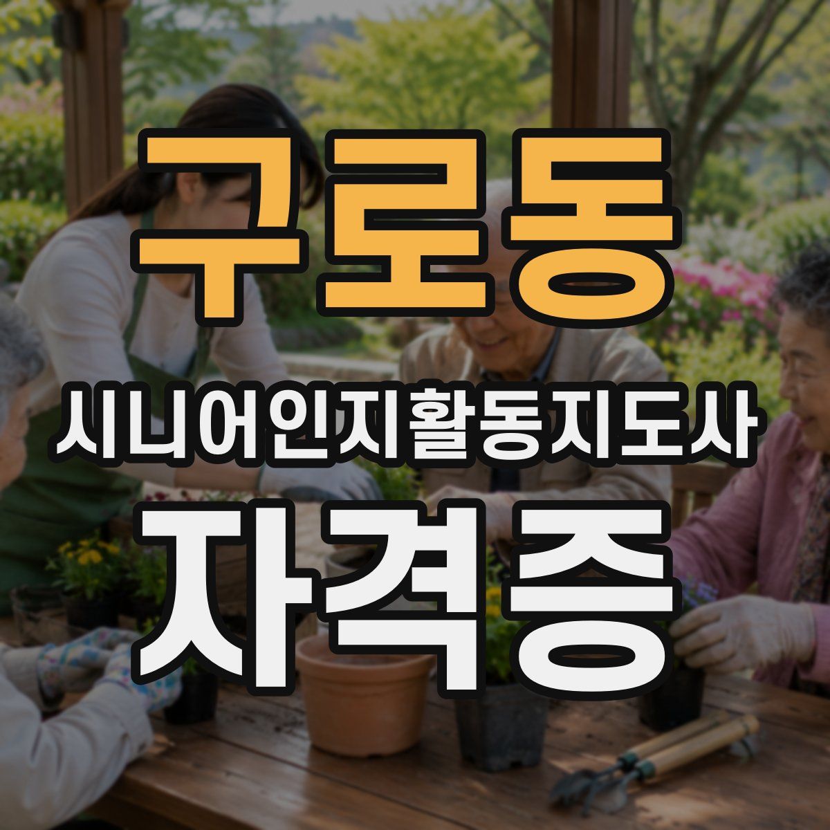 구로동 시니어인지활동지도사 자격증