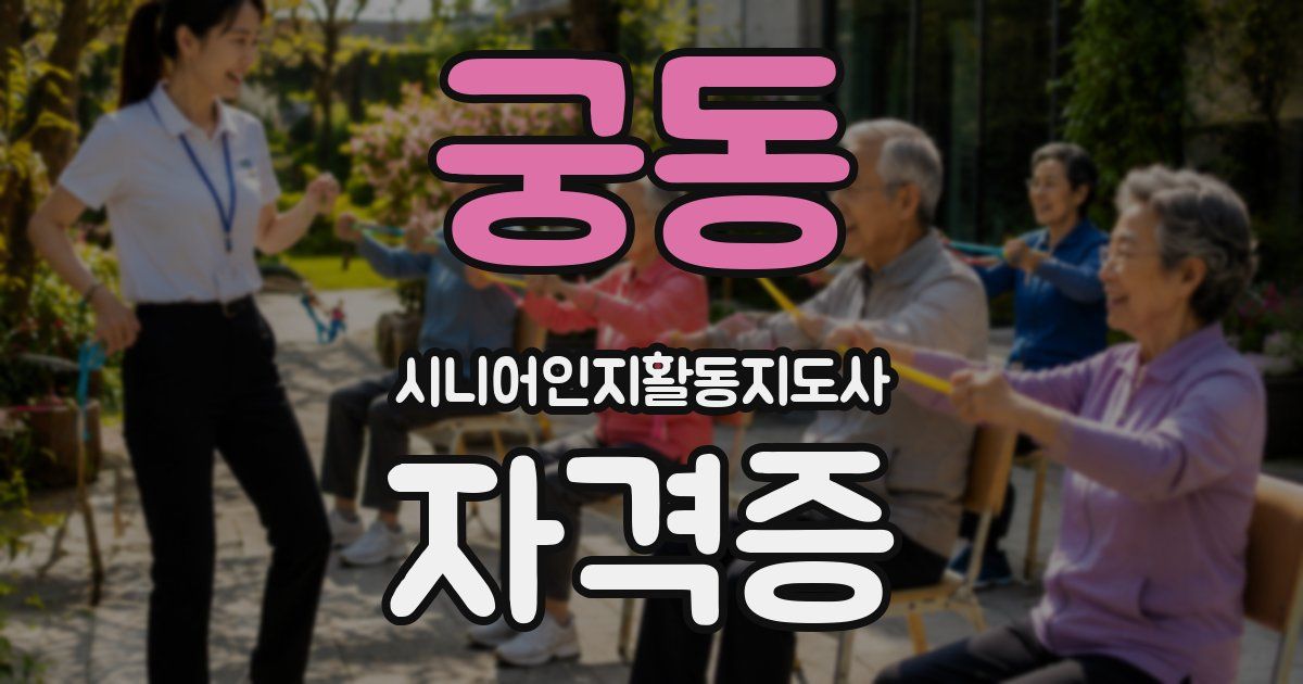 궁동 시니어인지활동지도사 자격증