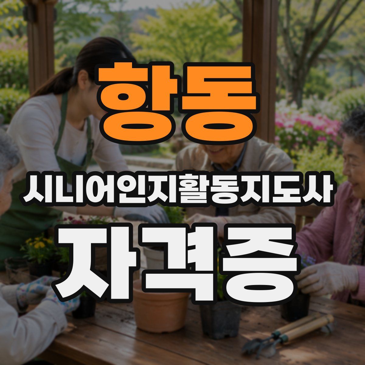항동 시니어인지활동지도사 자격증