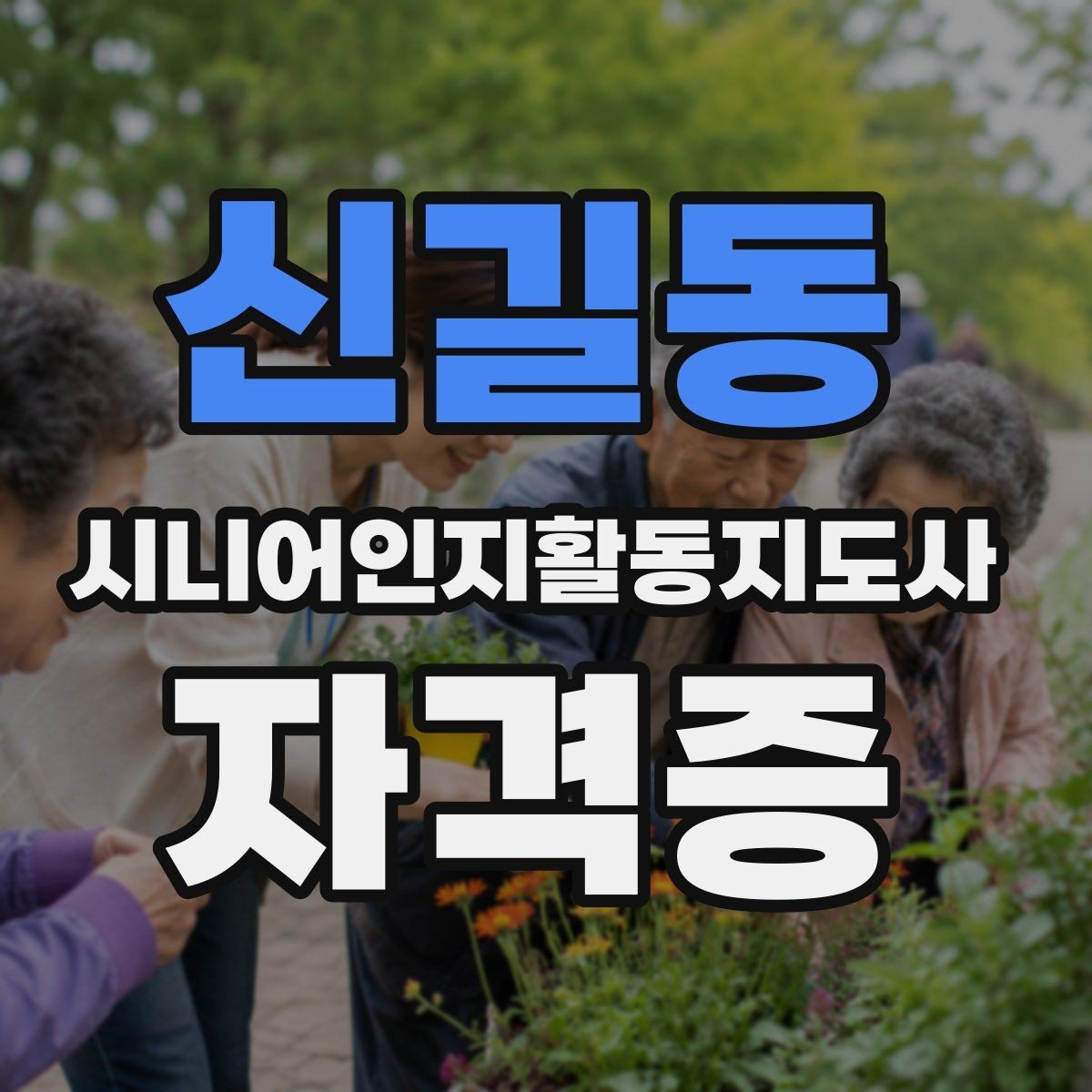 신길동 시니어인지활동지도사 자격증 취업과 연결되는 준비 방법