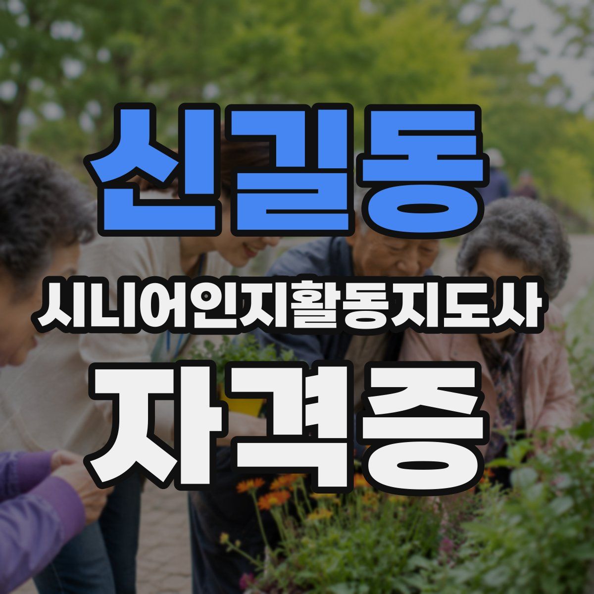 신길동 시니어인지활동지도사 자격증