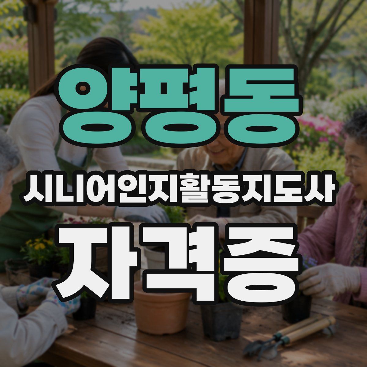 양평동 시니어인지활동지도사 자격증