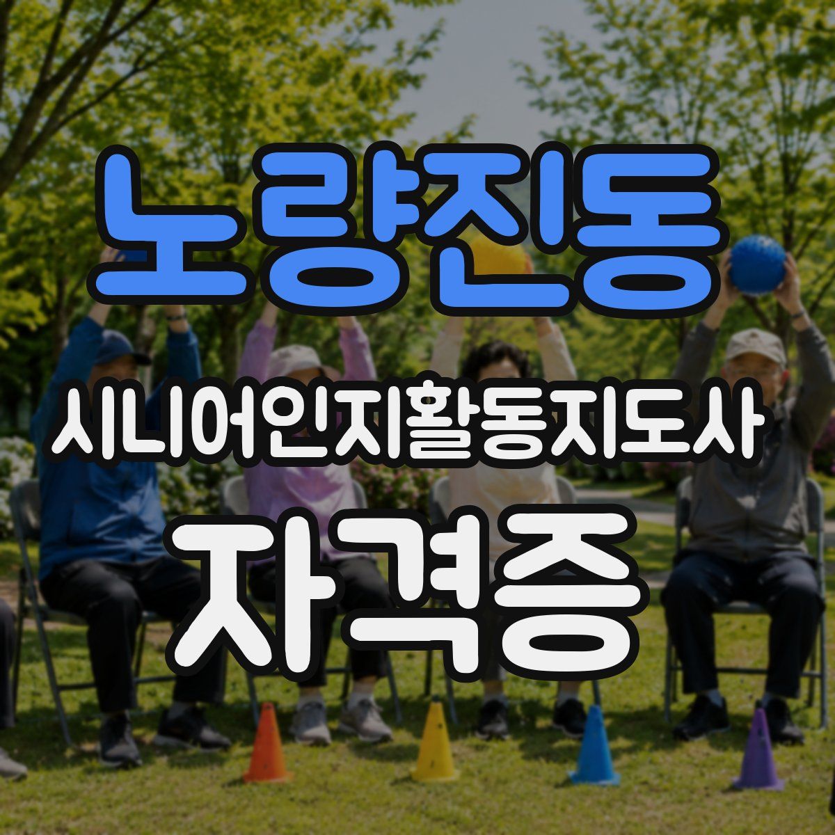 노량진동 시니어인지활동지도사 자격증