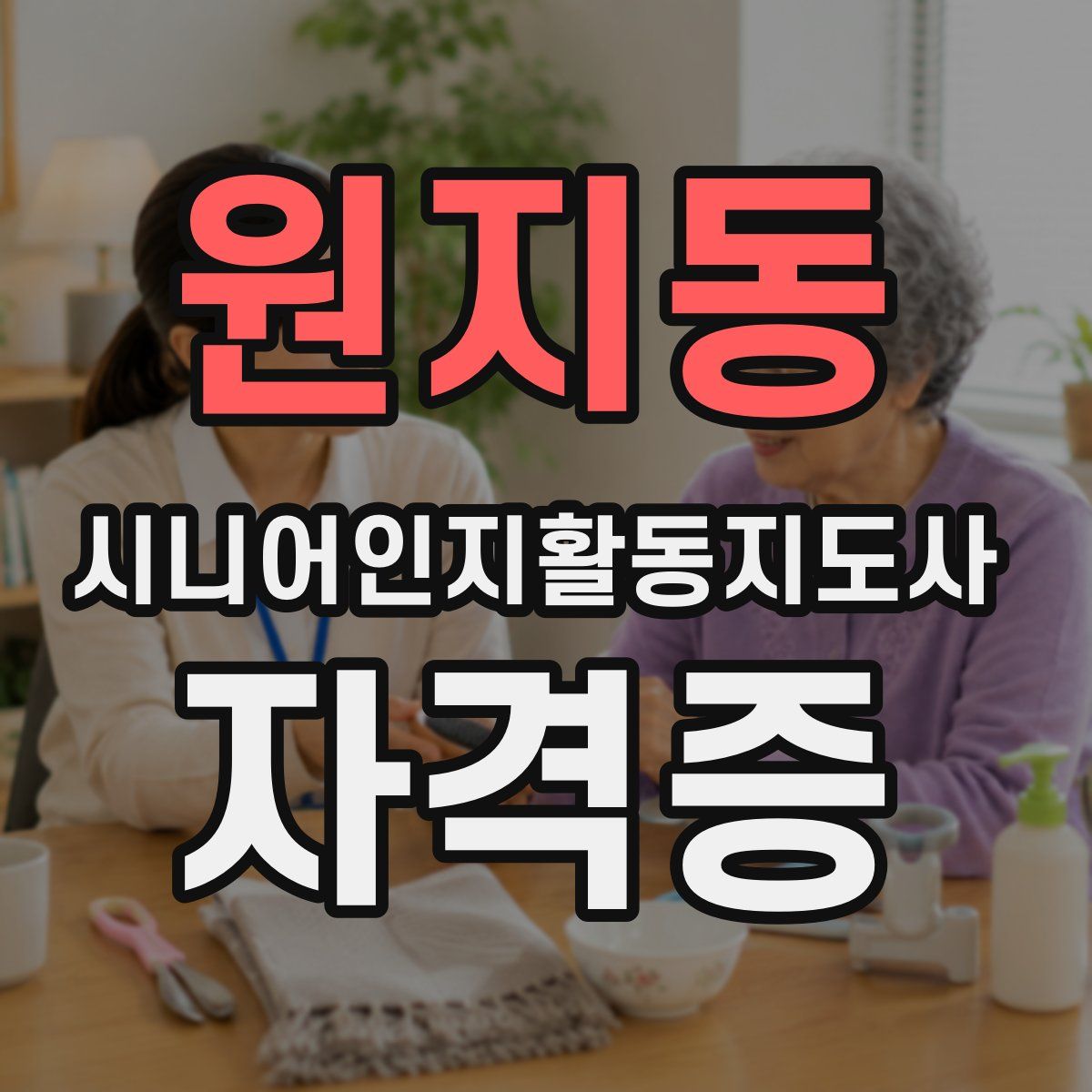 원지동 시니어인지활동지도사 자격증