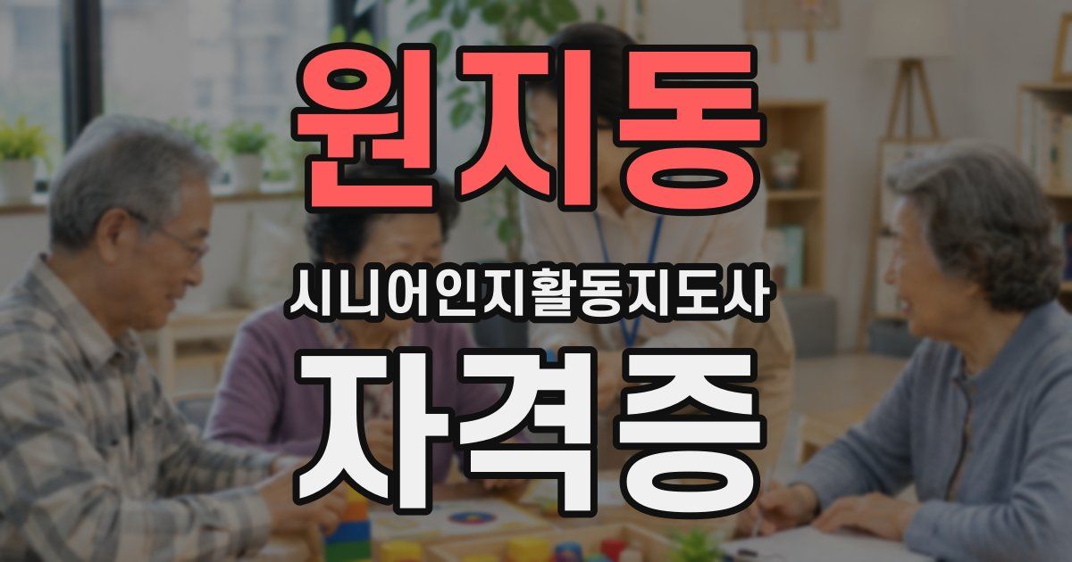원지동 시니어인지활동지도사 자격증