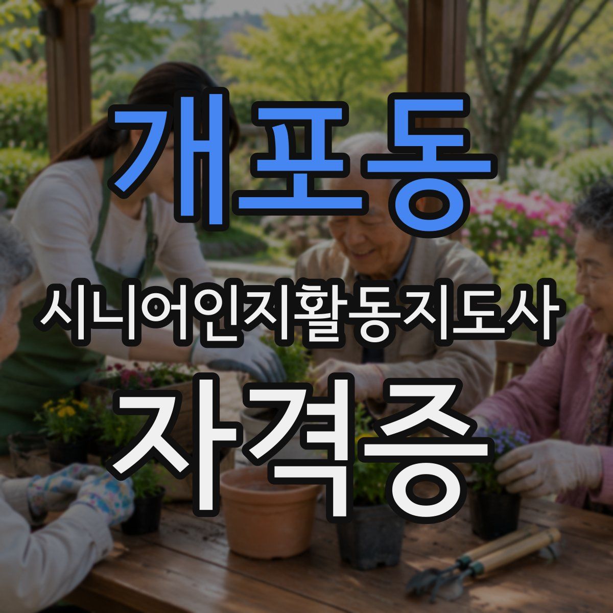 개포동 시니어인지활동지도사 자격증