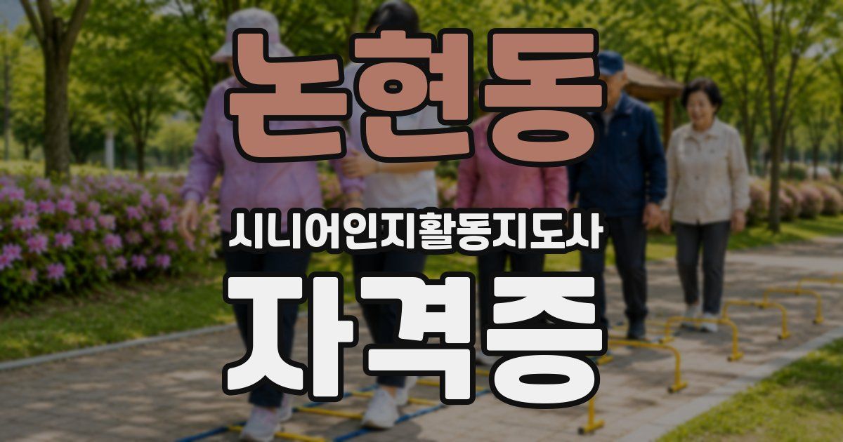 논현동 시니어인지활동지도사 자격증