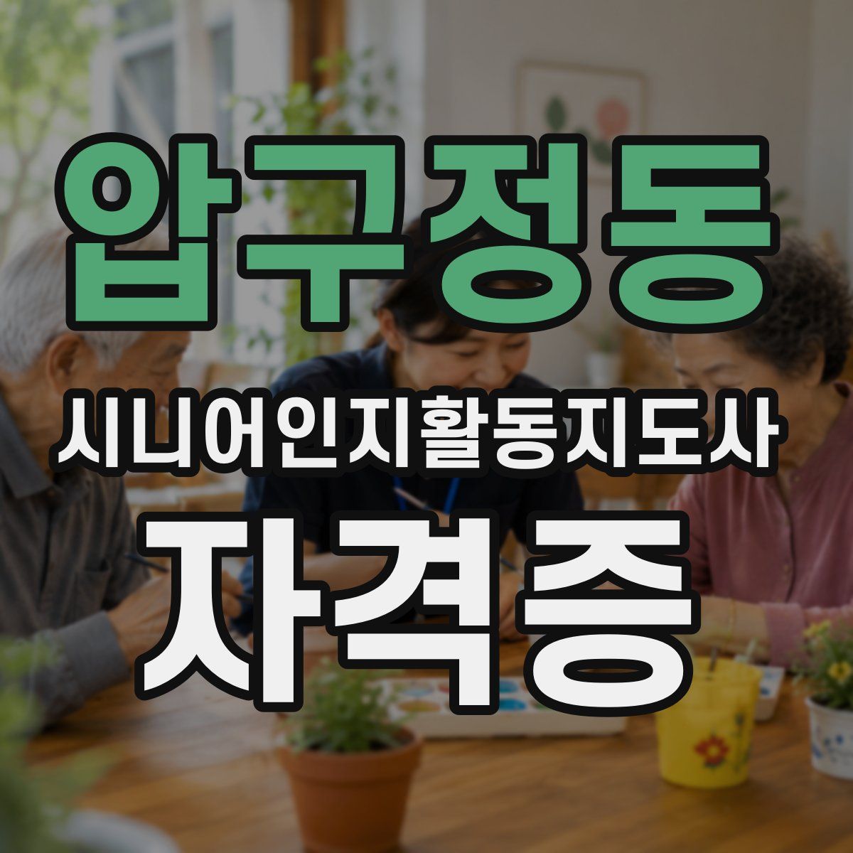 압구정동 시니어인지활동지도사 자격증