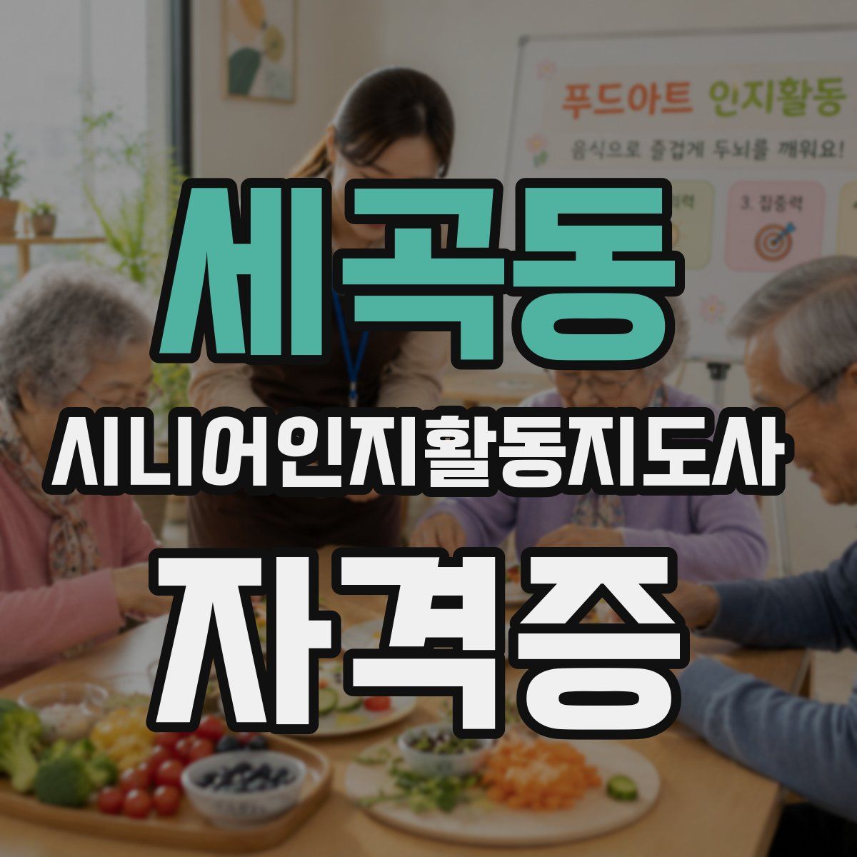 세곡동 시니어인지활동지도사 자격증