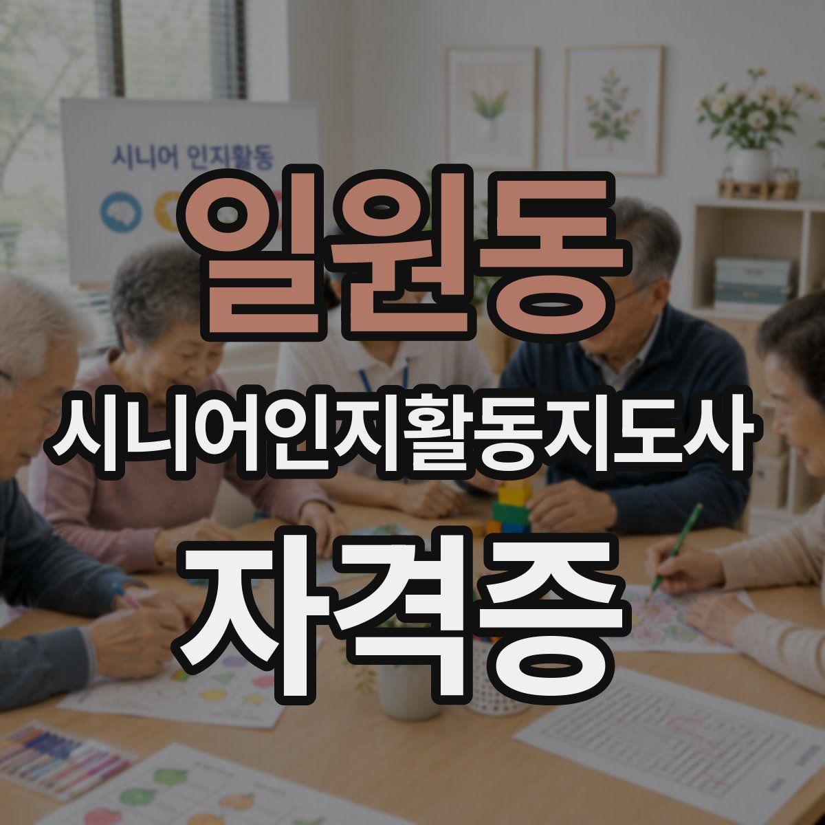 일원동 시니어인지활동지도사 자격증