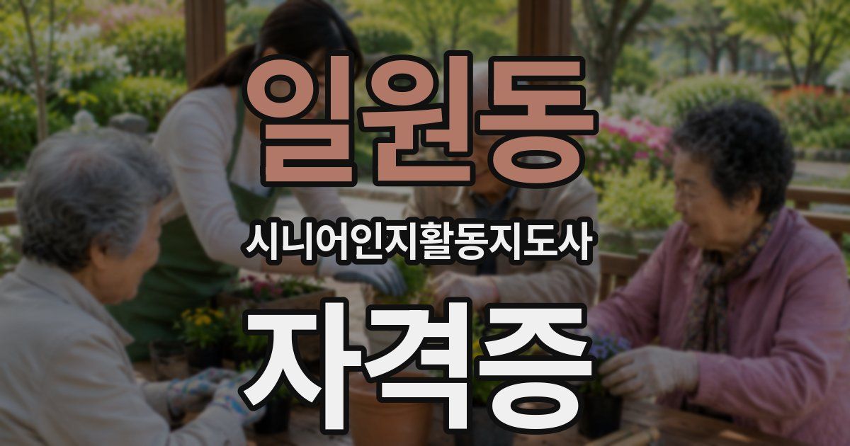 일원동 시니어인지활동지도사 자격증