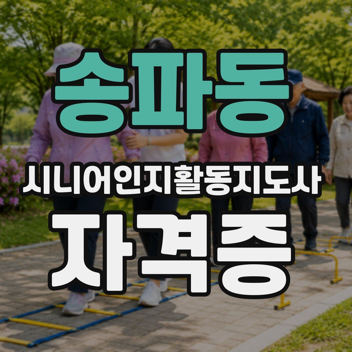 송파동 시니어인지활동지도사 자격증