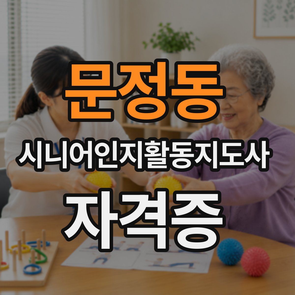 문정동 시니어인지활동지도사 자격증