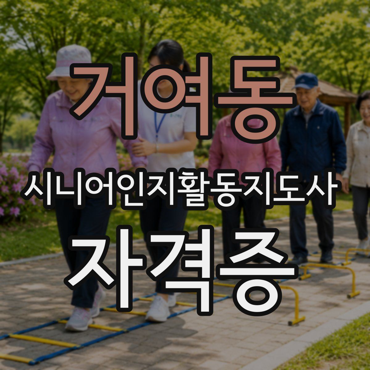 거여동 시니어인지활동지도사 자격증