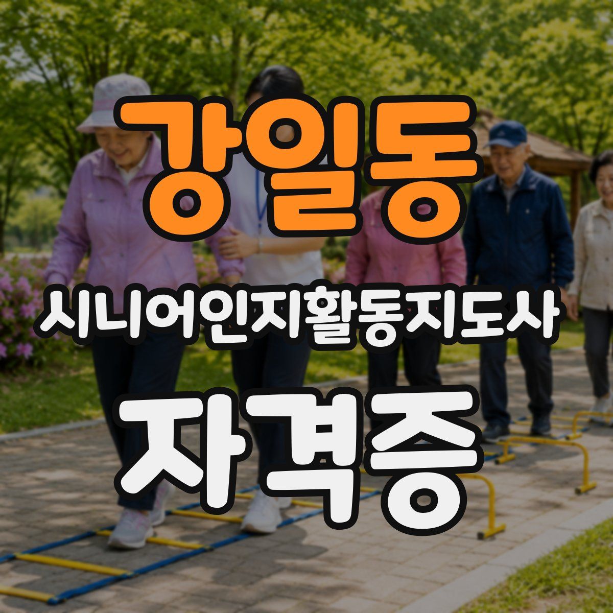 강일동 시니어인지활동지도사 자격증