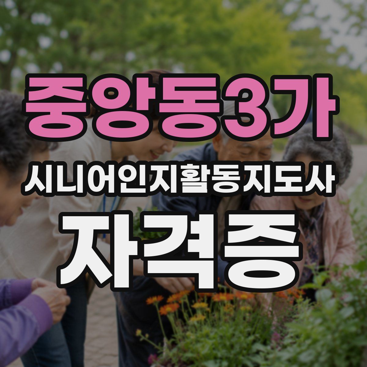 중앙동3가 시니어인지활동지도사 자격증