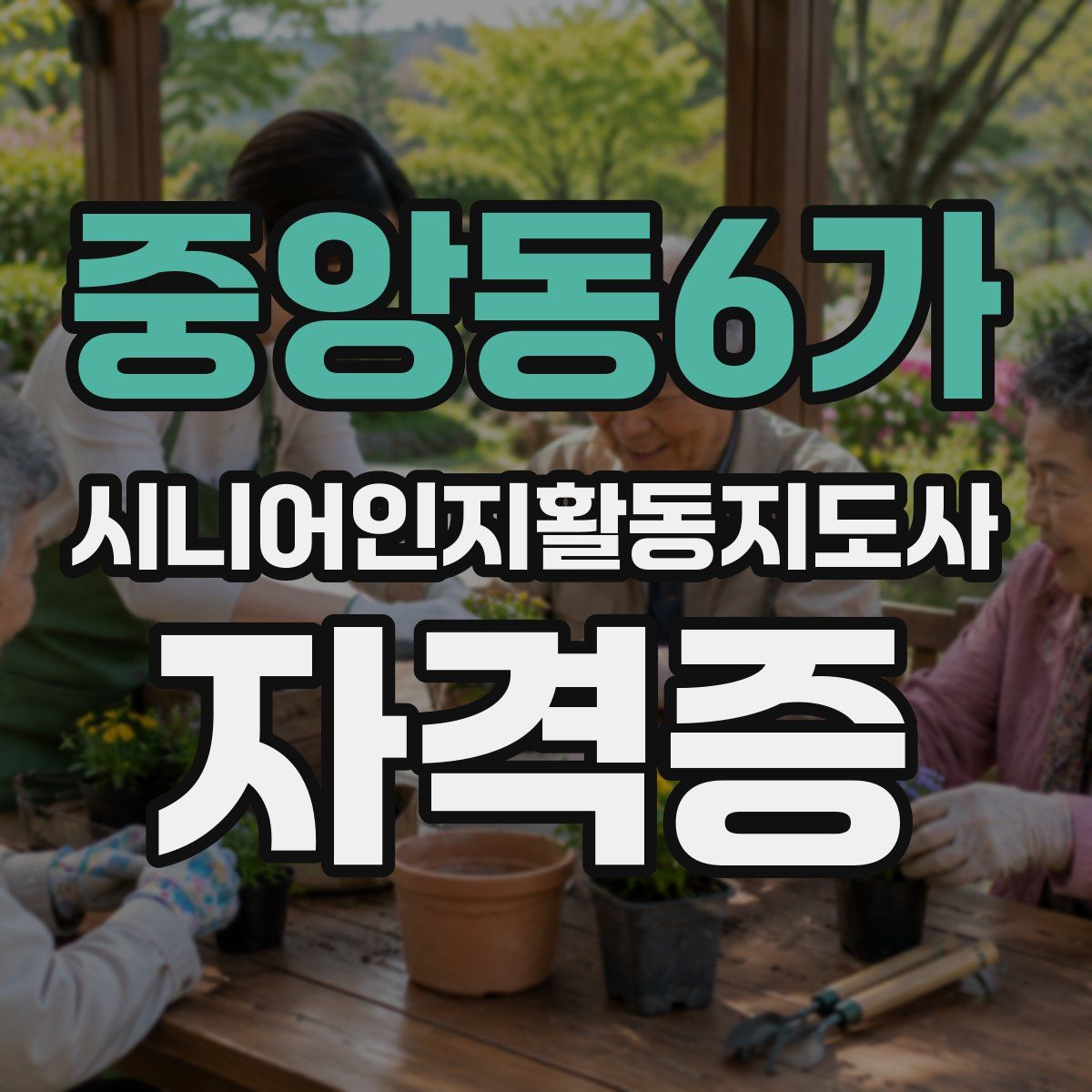 중앙동6가 시니어인지활동지도사 자격증