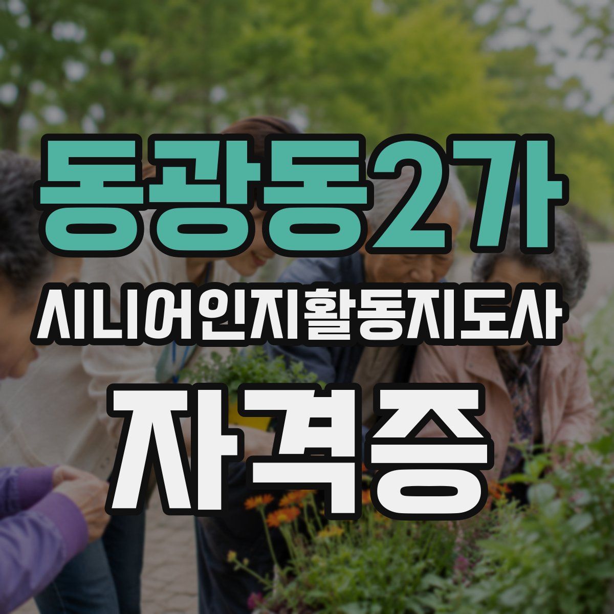 동광동2가 시니어인지활동지도사 자격증