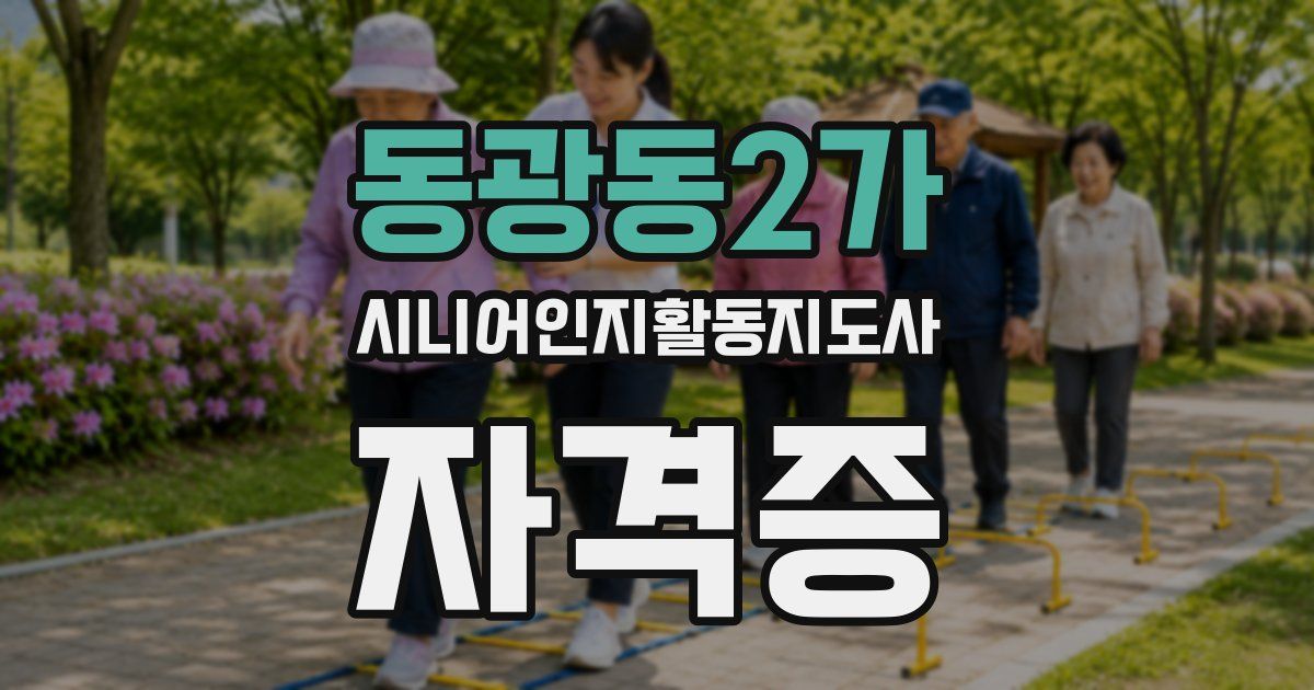 동광동2가 시니어인지활동지도사 자격증