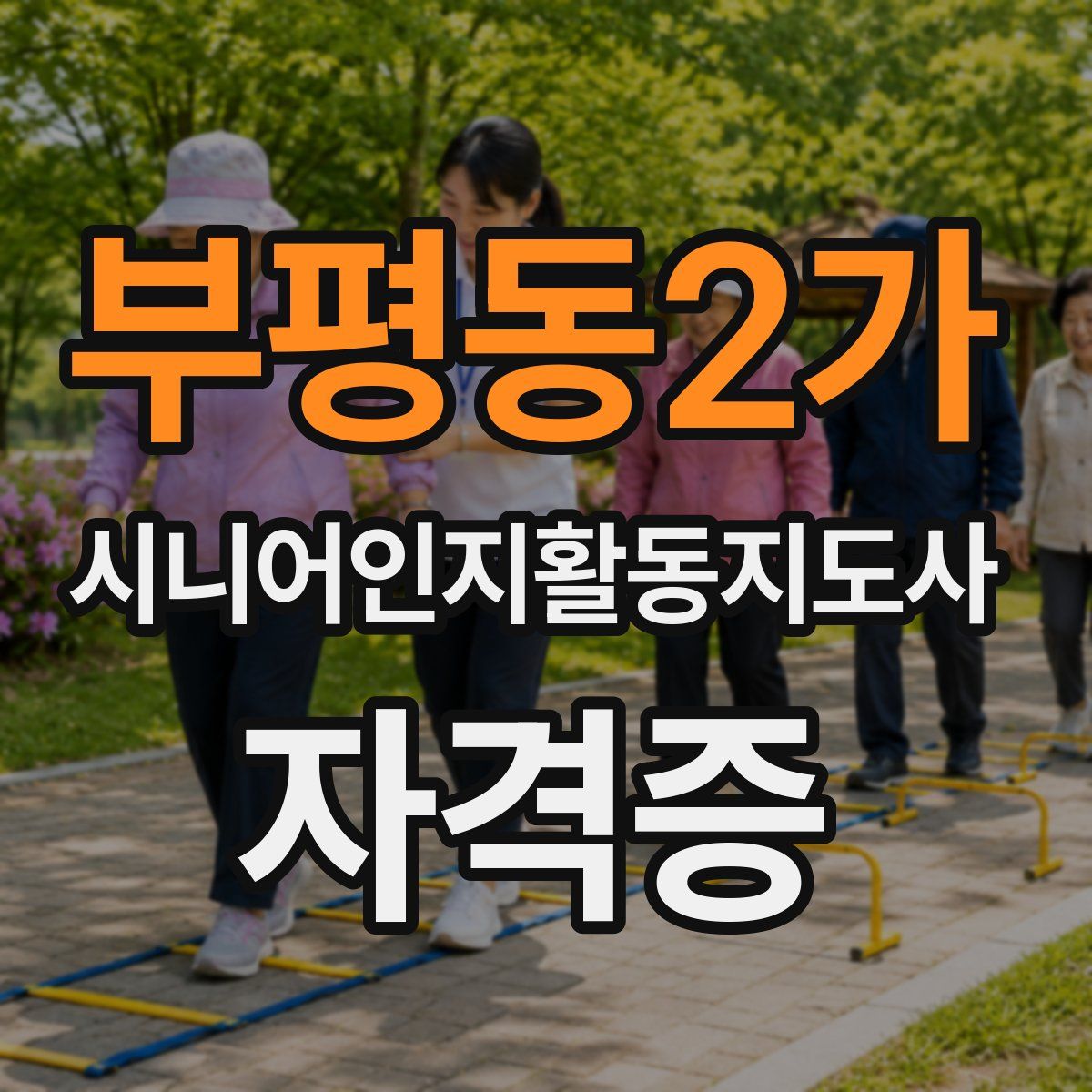 부평동2가 시니어인지활동지도사 자격증
