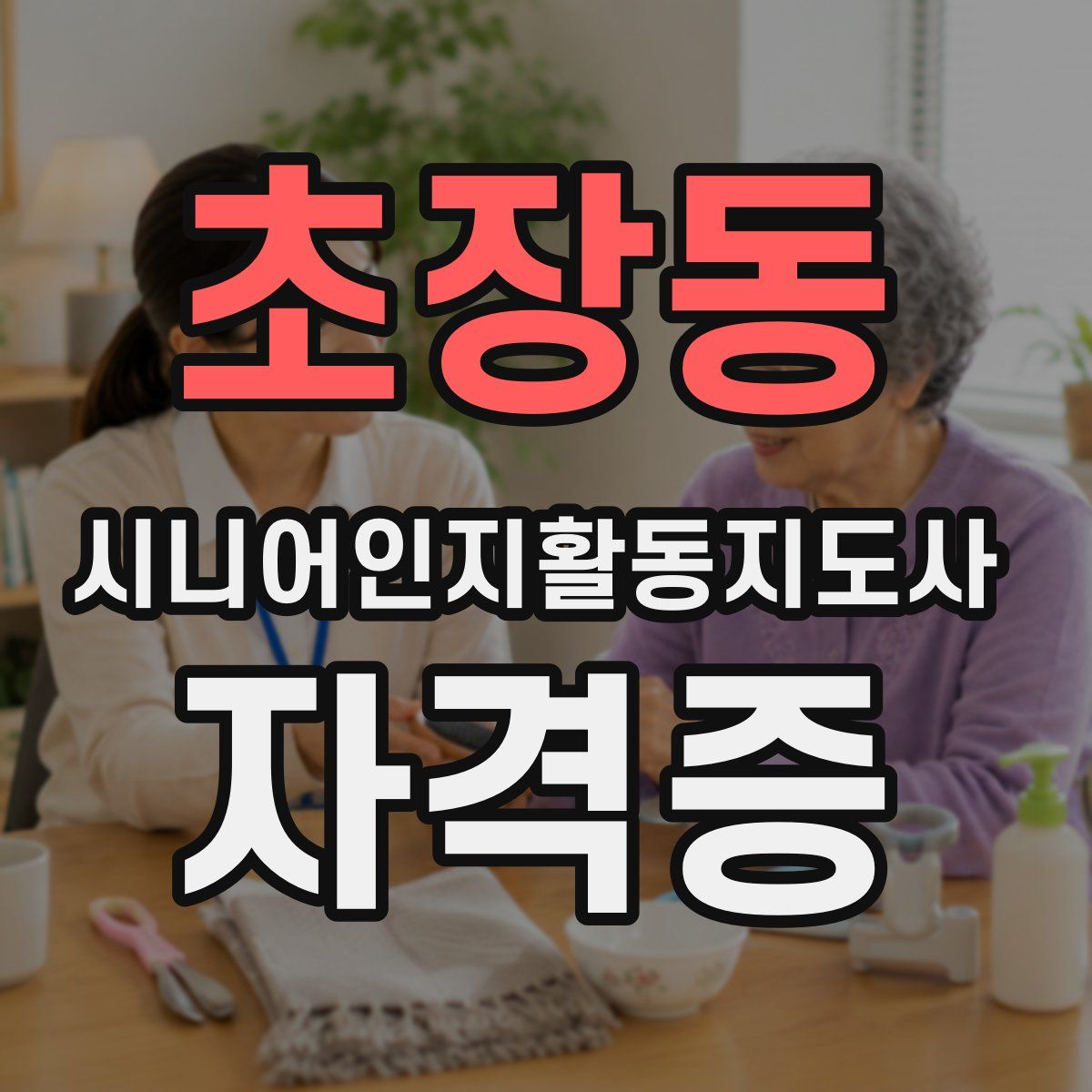 초장동 시니어인지활동지도사 자격증